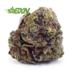 Buy Astro Cookies AA at BudExpressNOW Online Shop.