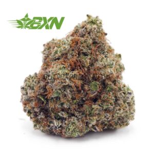 Buy Dank Kush Breath (Craft) at BudExpressNOW Online Shop