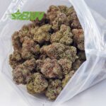 Buy Dank Kush Breath (Craft) at BudExpressNOW Online Shop