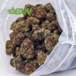 Buy Gummy Bearz AA at BudExpressNOW Online