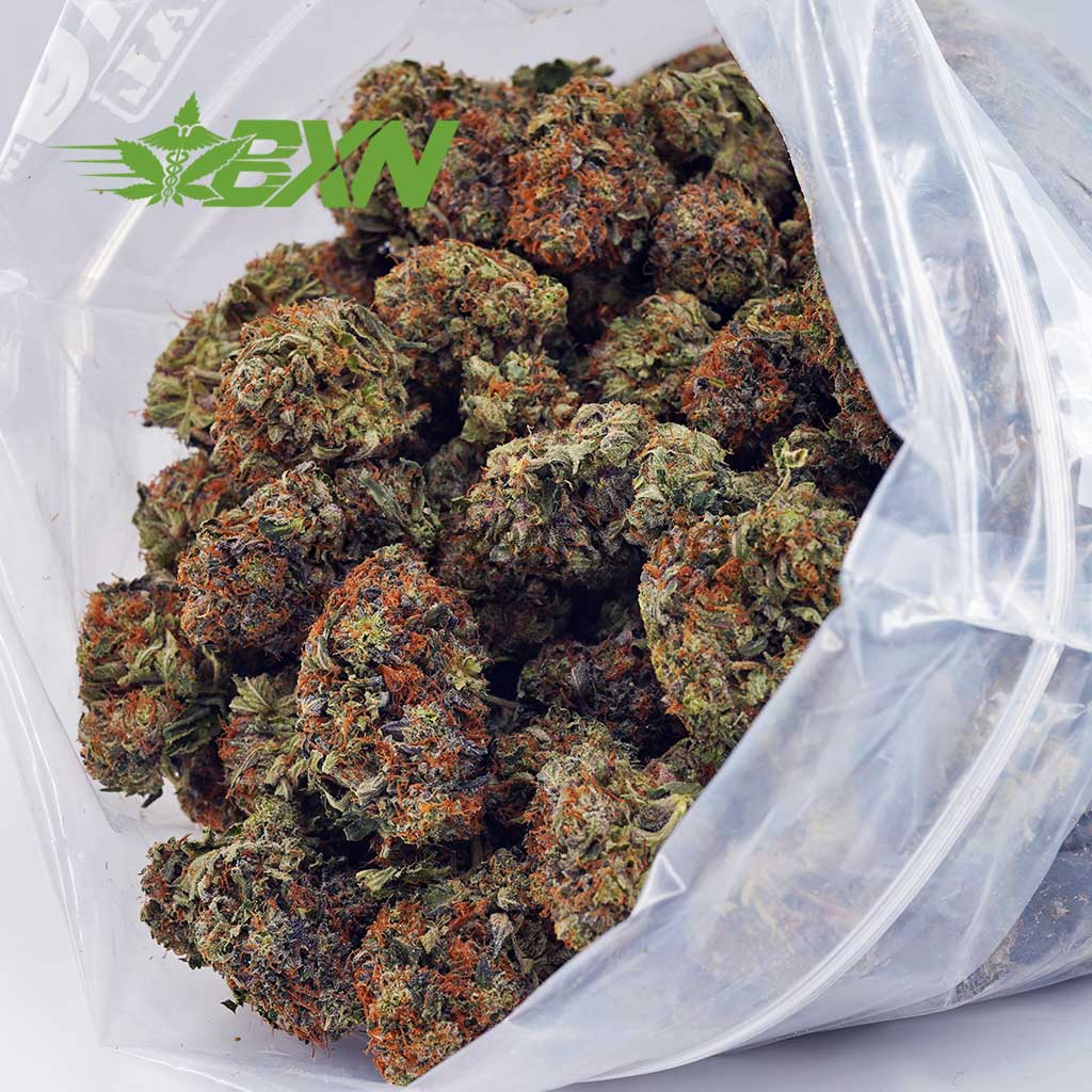 Buy Gummy Bearz AA at BudExpressNOW Online