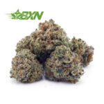 Buy Blueberry Jam AAAA (Popcorn) at BudExpressNOW Online Shop