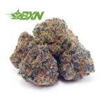 Buy Forum Cut Cookies AAAA (Popcorn) at BudExpressNOW Online