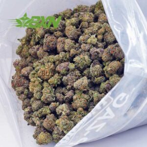 Buy Forum Cut Cookies AAAA (Popcorn) at BudExpressNOW Online