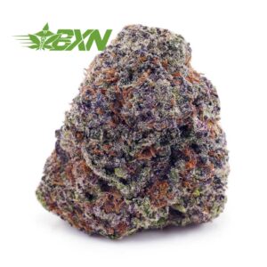 Buy Blueberry Stomper AAA at BudExpressNOW Online Shop.