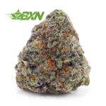 Buy NYC Cheesecake AAA at BudExpressNOW Online Shop