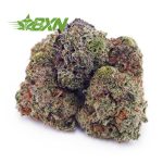 Buy Strawberry Cheesecake AAAA (Popcorn) at BudExpressNOW Online Shop