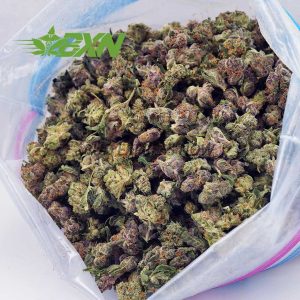 Buy Watermelon Kush AAAA (Popcorn) at BudExpressNOW Online Shop