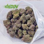 Buy Dank Kush Breath (Craft) at BudExpressNOW Online Shop