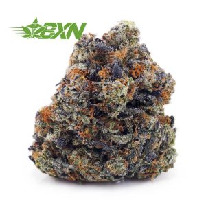 Buy Supreme Gas Mask (Craft) at BudExpressNOW Online Shop