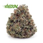 Buy Pink Death AAAA at BudExpressNOW Online Shop