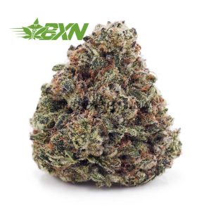 Buy Pink Death AAAA at BudExpressNOW Online Shop