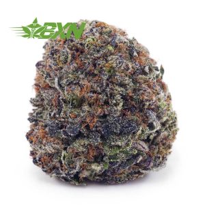 Buy Blue Dream AAA at BudExpressNOW Online