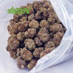 Buy Gorilla Glue #4 AA at BudExpressNOW Online