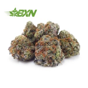 Buy Forum Cut Cookies AAAA (Popcorn) at BudExpressNOW Online