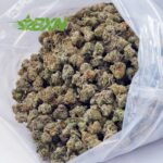 Buy Forum Cut Cookies AAAA (Popcorn) at BudExpressNOW Online