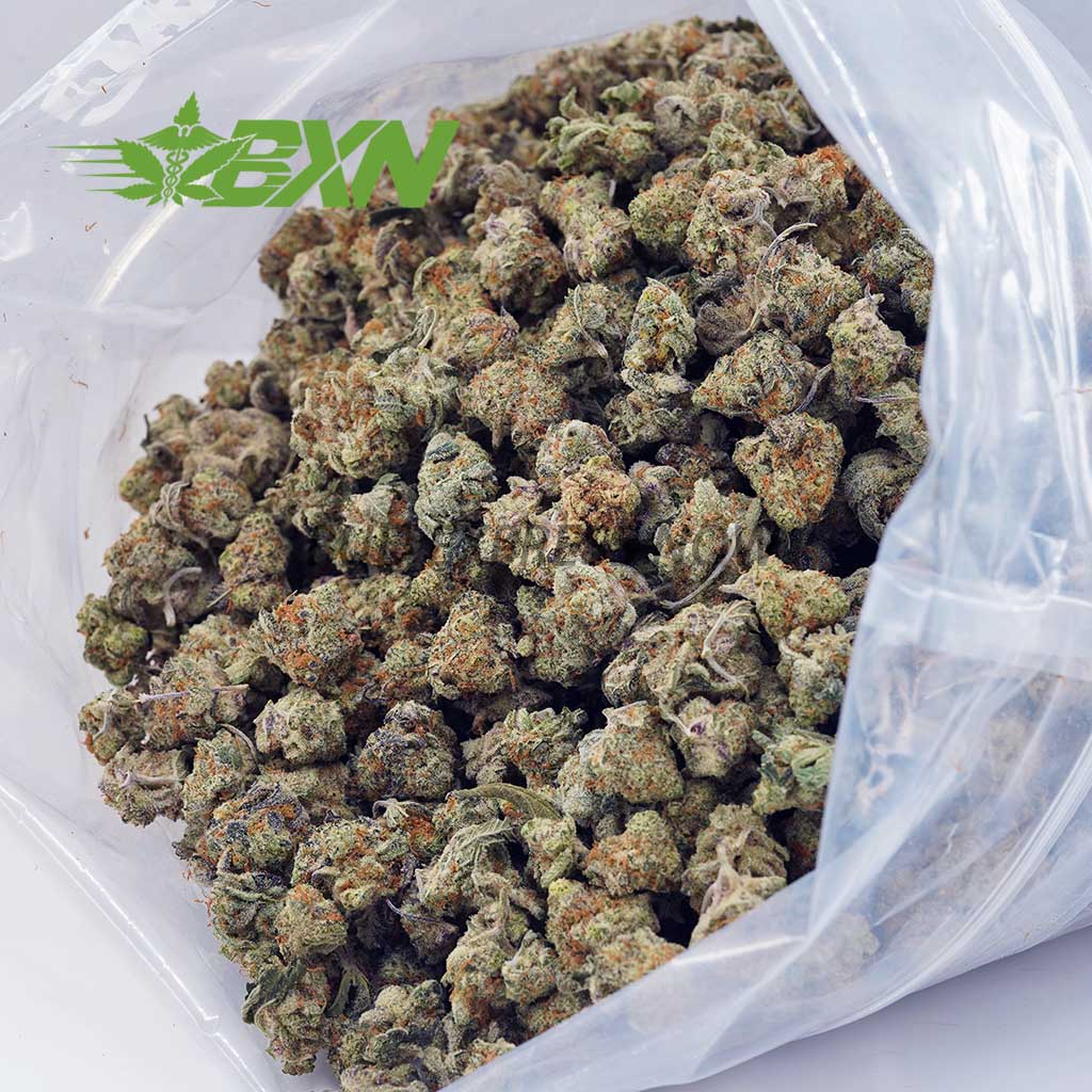 Buy Forum Cut Cookies AAAA (Popcorn) at BudExpressNOW Online