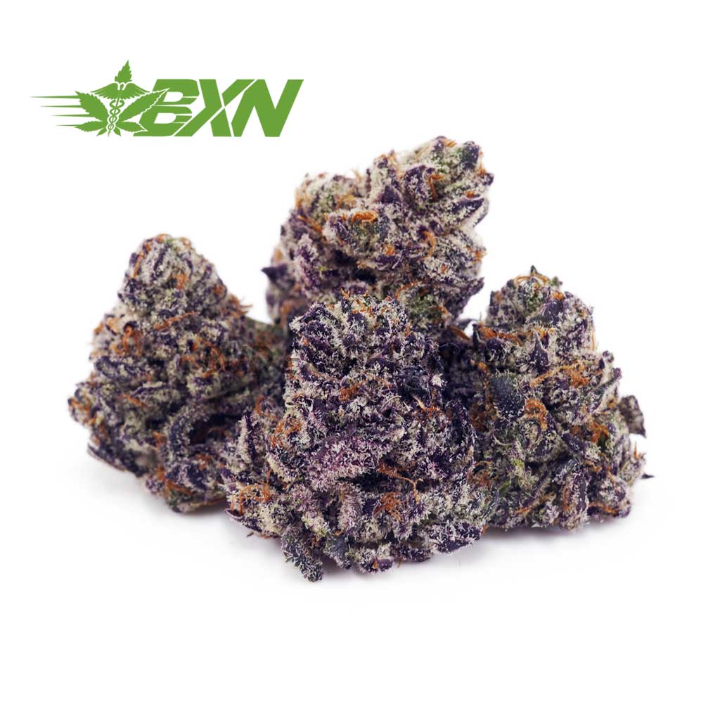 EA ORANGEJUICEKUSHPOPCORN BXN Buy Orange Juice Kush AAAA (Popcorn) at BudExpressNOW Online Shop
