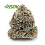 Buy Purple Urkle AA at BudExpressNOW Online
