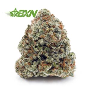 Buy Purple Urkle AA at BudExpressNOW Online