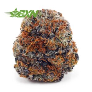 Buy Jean Guy AAAA at BudExpressNOW Online Shop