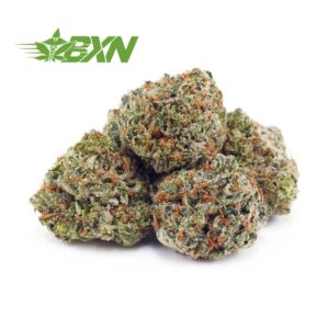 Buy Jungle Mintz AAAA (Popcorn) at BudExpressNOW Online shop