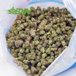 Buy Jungle Mintz AAAA (Popcorn) at BudExpressNOW Online shop