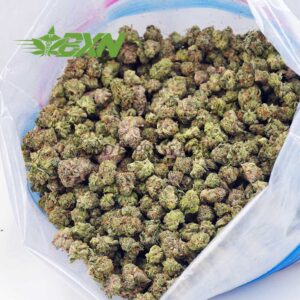 Buy Jungle Mintz AAAA (Popcorn) at BudExpressNOW Online shop