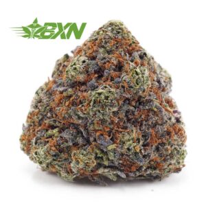 Buy Chocolate Kush AAAA at BudExpressNOW Online Shop