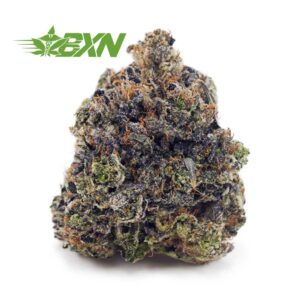 Buy Pink Kush AAAA at BudExpressNOW Online Shop