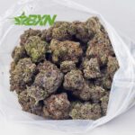 Buy Pink Kush AAAA at BudExpressNOW Online Shop