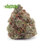 Buy Northern Lights AAA at BudExpressNOW Online