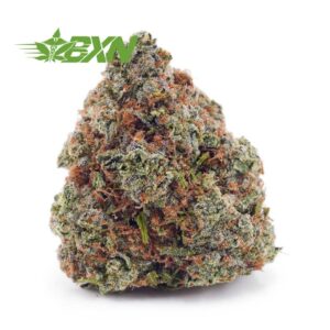 Buy Northern Lights AAA at BudExpressNOW Online