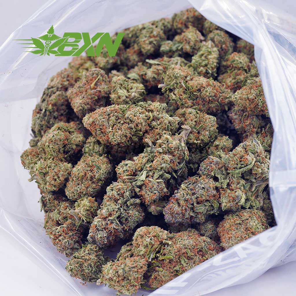 Buy Northern Lights AAA at BudExpressNOW Online