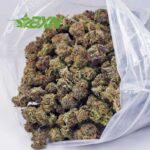 Buy Golden Goat AAA at BudExpressNOW Online Shop