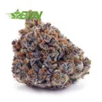Buy Purple Punch AAAA at BudExpressNOW Online Shop