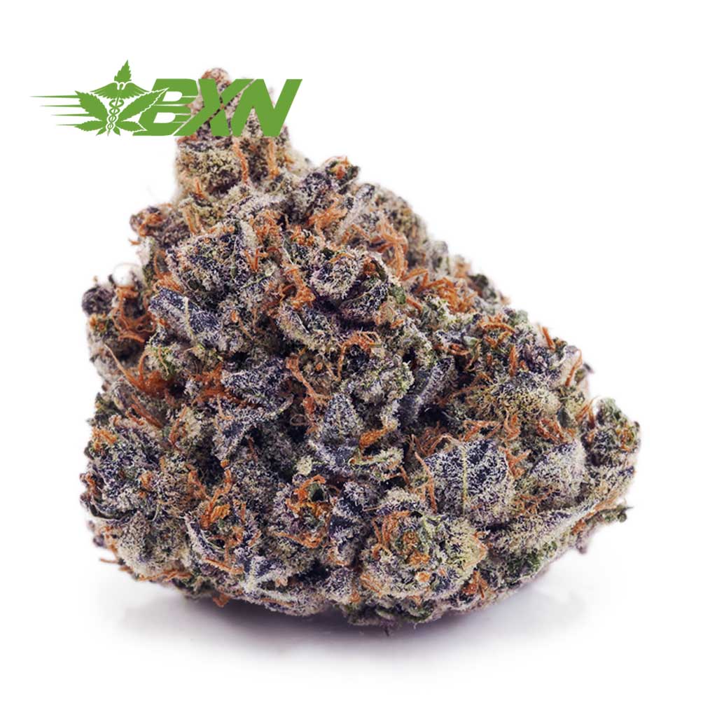 Buy Purple Punch AAAA at BudExpressNOW Online Shop
