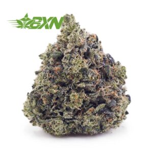 Buy Master Kush Ultra AAAA at BudExpressNOW Online Shop