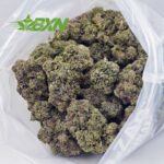 Buy Master Kush Ultra AAAA at BudExpressNOW Online Shop