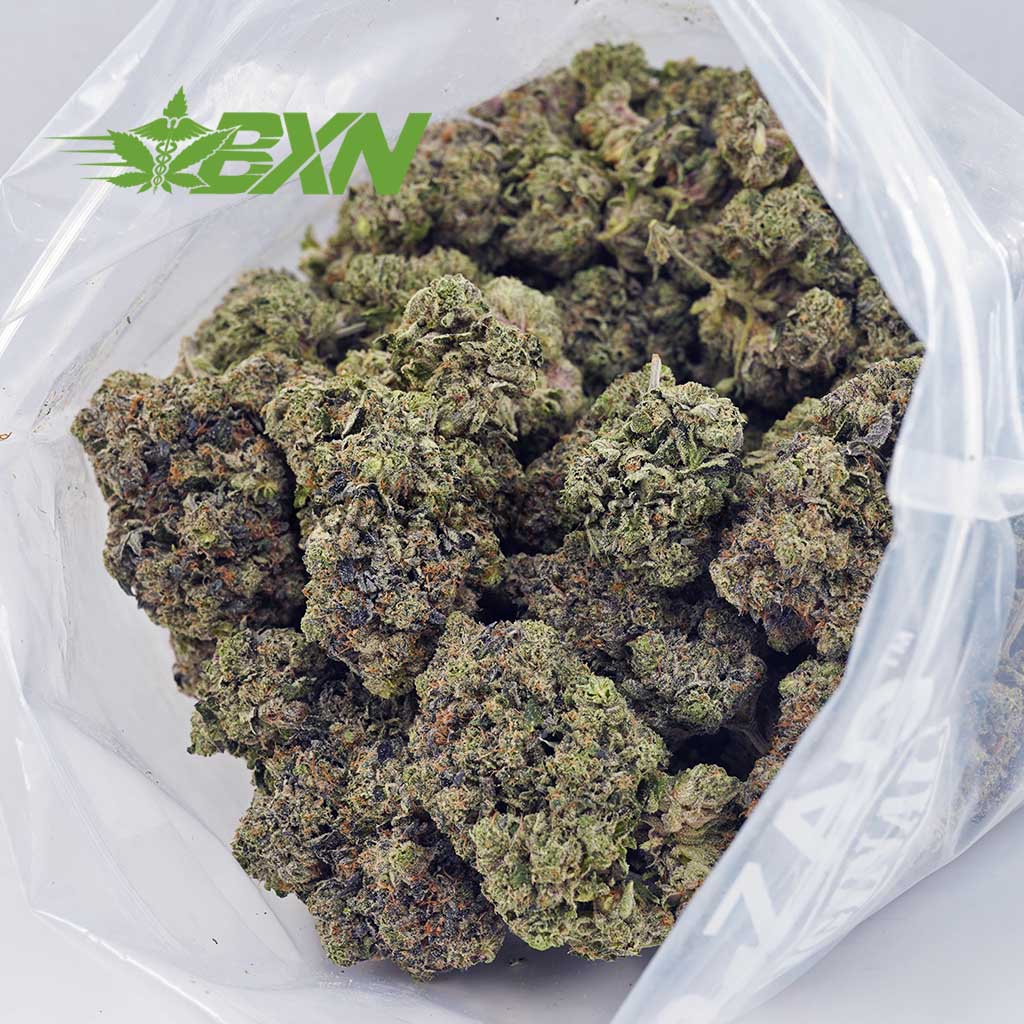 Buy Master Kush Ultra AAAA at BudExpressNOW Online Shop