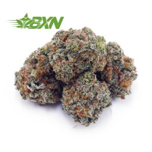 Buy Cookies and Cream AAAA (Popcorn) at BudExpressNOW Online Shop