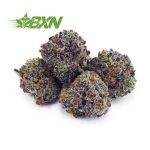 Buy Gary Payton AAAA (Popcorn) at BudExpressNOW Online Shop