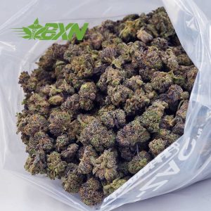 Buy Gary Payton AAAA (Popcorn) at BudExpressNOW Online Shop