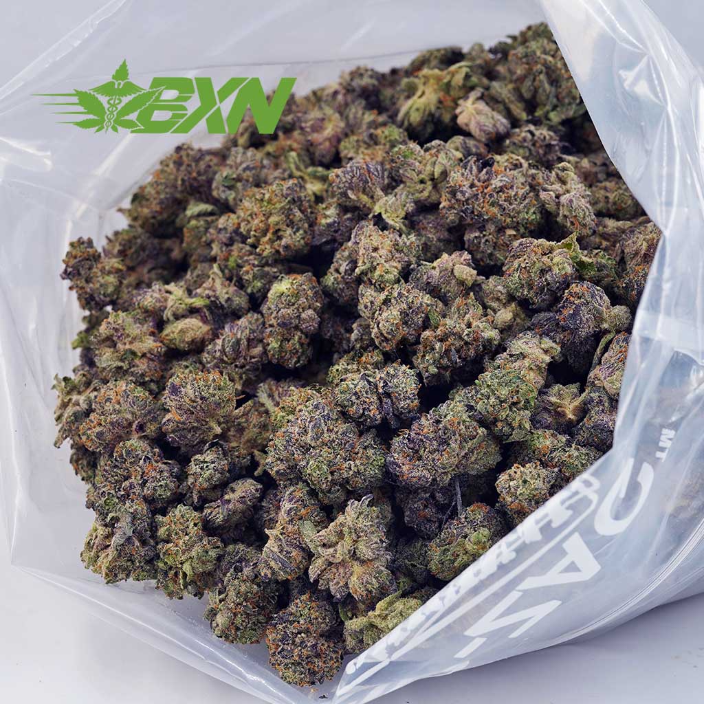 Buy Gary Payton AAAA (Popcorn) at BudExpressNOW Online Shop