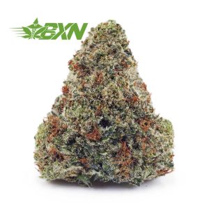 Buy Hawaiian Snow AA at BudExpressNOW Online Shop