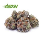 Buy Animal Crackers AAAA (Popcorn) at BudExpressNOW Online Shop