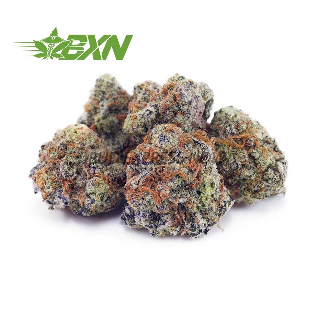 Buy Animal Crackers AAAA (Popcorn) at BudExpressNOW Online Shop