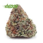 Buy White Russian Cream AAAA at BudExpressNOW Online