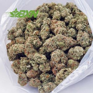 Buy White Russian Cream AAAA at BudExpressNOW Online