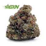 Buy Hindu Kush AAAA at BudExpressNOW Online Shop
